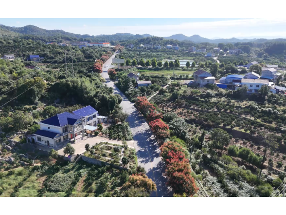 石门：栾树映秋 绘就城市诗意画卷