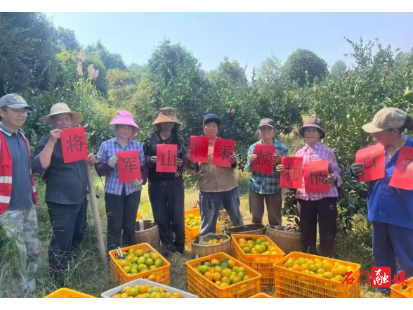 石门蒙泉：党群有橘 幸福有聚