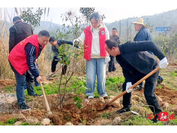仙阳湖管理处：开展义务植树活动