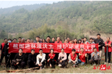 维新镇：植此青绿不负春 共树“无患”惠乡亲