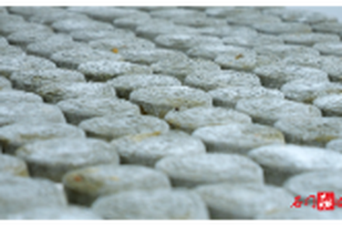 石门：春采青蒿做粑粑 舌尖上的春季限定