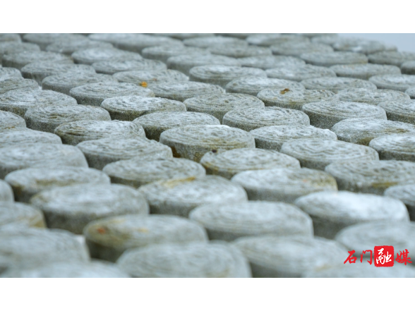 石门：春采青蒿做粑粑 舌尖上的春季限定