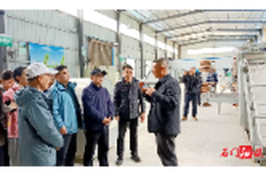 常德市茶文化促进会开展茶企对接活动