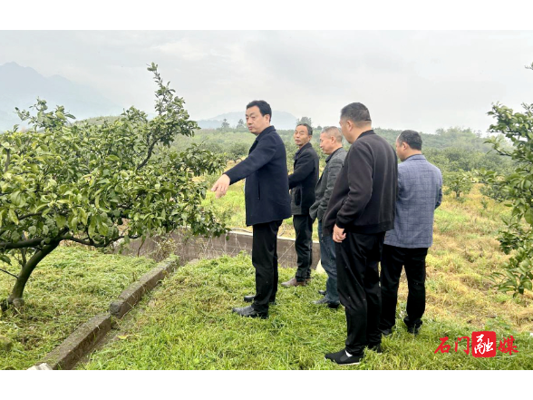 石门县启动2026年畜禽养殖污染地毯式排查