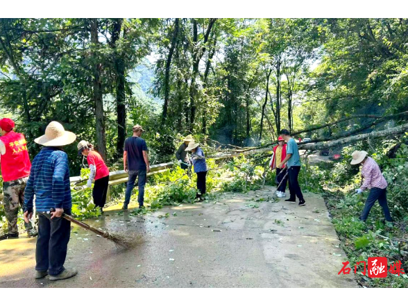 灾后重建进行时 | 壶瓶山镇：文明实践聚合力 砍青清障助重建