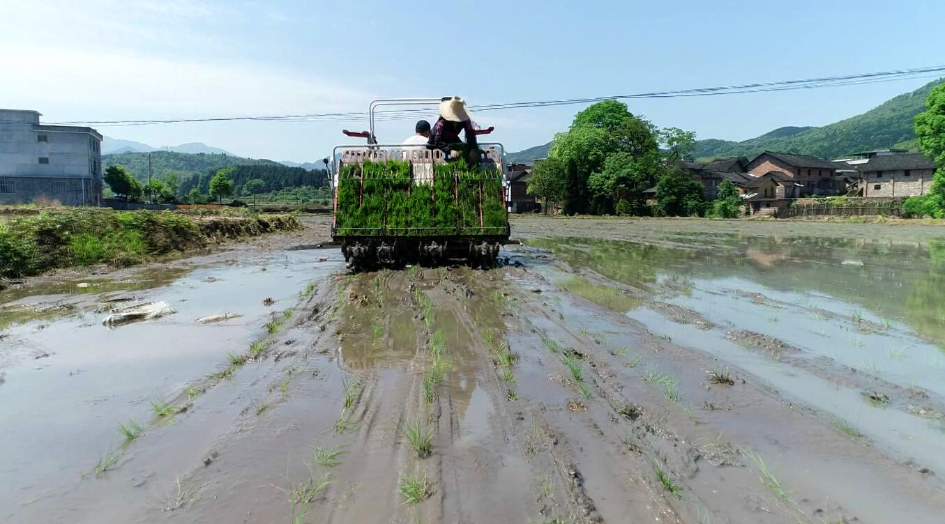 微信图片_20200506090311.jpg