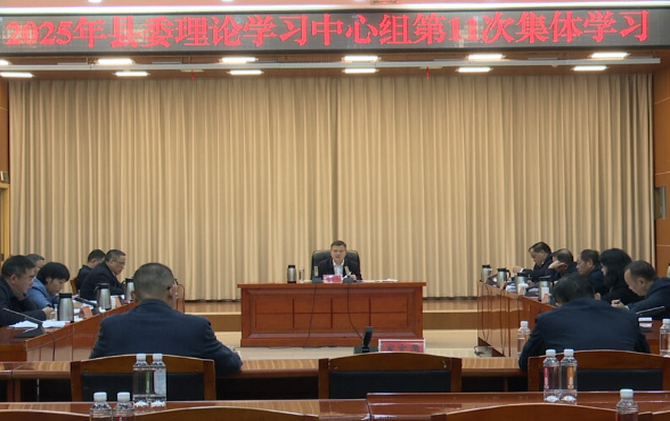 2025年县委理论学习中心组举行第11次集体学习