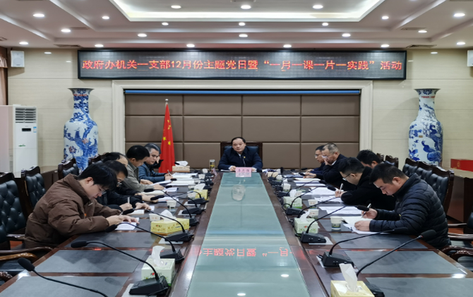 县政府办机关一支部开展12月份主题党日  暨“一月一课一片一实践”活动