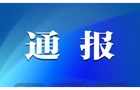 中共桂阳县自然资源局党组  关于巡察整改进展情况通报