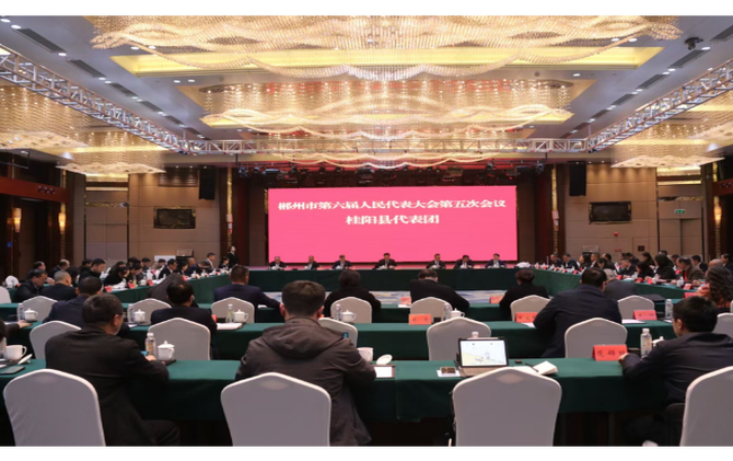 关注市六届人大五次会议｜肖扬参加桂阳代表团讨论审议