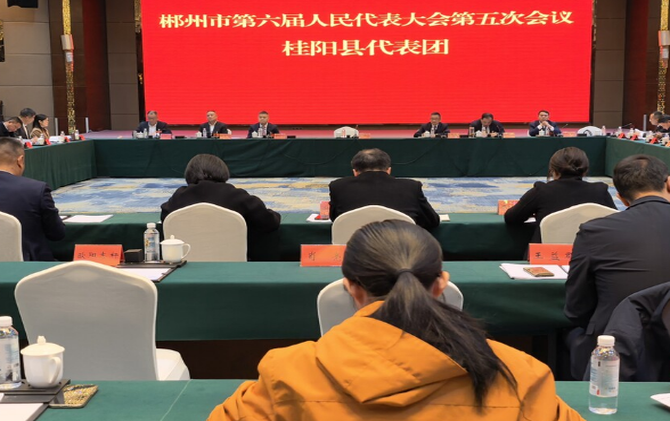 关注市六届人大五次会议｜桂阳代表团讨论审议市政府工作报告