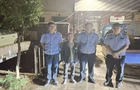 雨夜深山，一场与时间赛跑的紧急搜救  ——浩塘镇60余人接力寻回两名失联老人