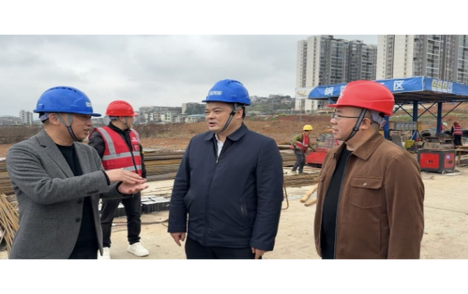 李志强调研重点项目开工复工工作