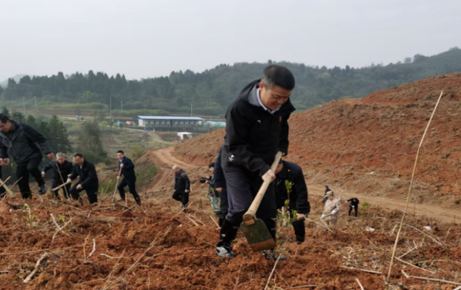 我县开展2026年春季全民义务植树活动