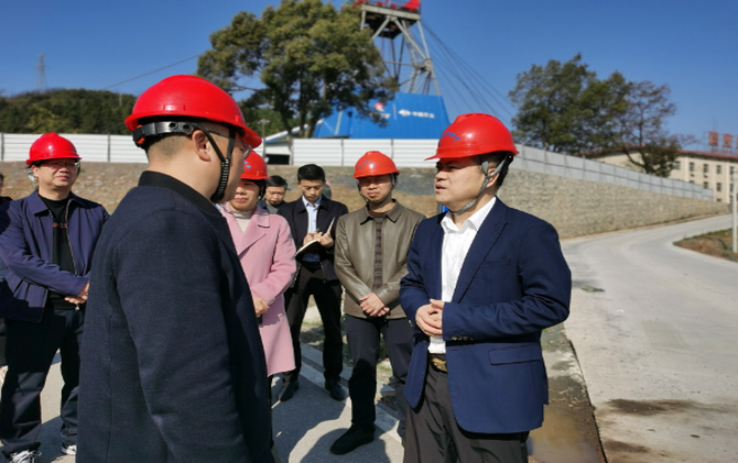 巫初华调研项目建设、产业发展提级、企业服务年等工作