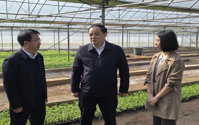 李志强践行“四下基层”调研烟叶生产、农业特色产业发展和民生实事办理暨开展“走找想促”活动
