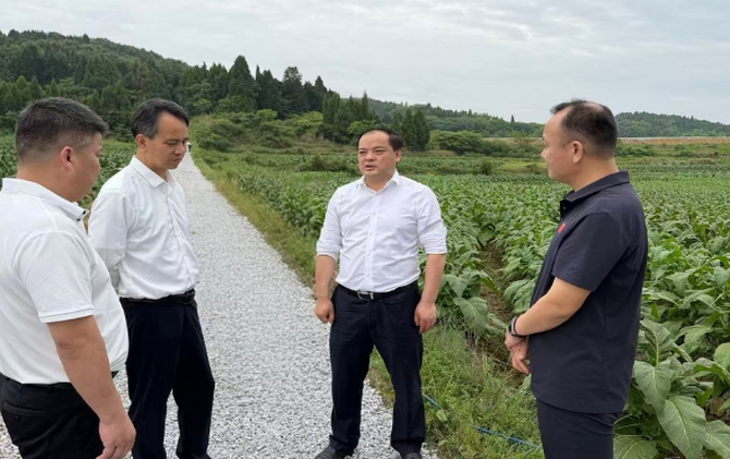 李志强调研重点项目（以工代赈项目）建设及防汛备汛工作