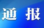 中共桂阳县桥市乡委员会  关于巡察整改进展情况的通报