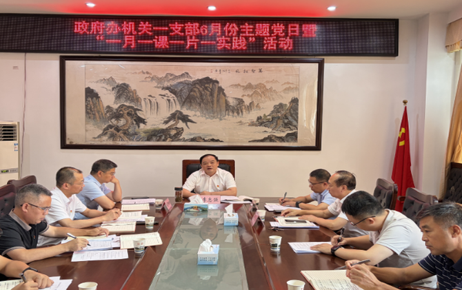 县政府办机关一支部开展6月份主题党日暨“一月一课一片一实践”活动