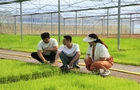 持续深化“六大新行动” 全力实施“开局八好”｜全县晚稻插秧忙 机械化助力“智慧种田”