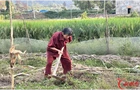 衡阳独臂老人替去世的儿子还清欠款，获评全国“诚信之星”