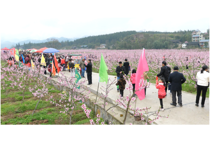   继网开来 链动怀化 | 桃花节搭台 促乡村振兴