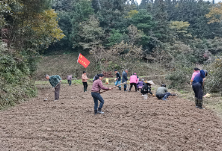 夏结莲村“党员干部突击队”助力贫困户致富