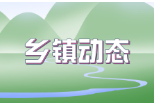 马鞍镇扎实开展巡河，推进禁捕退捕大整治工作