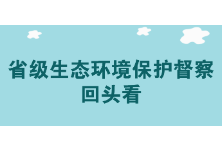 省级生态环境保护督察回头看