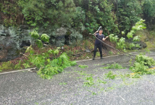 县公路建设养护中心冒雨排除安全隐患