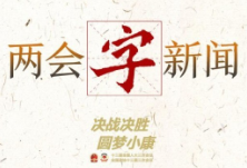 两会“字”新闻丨防