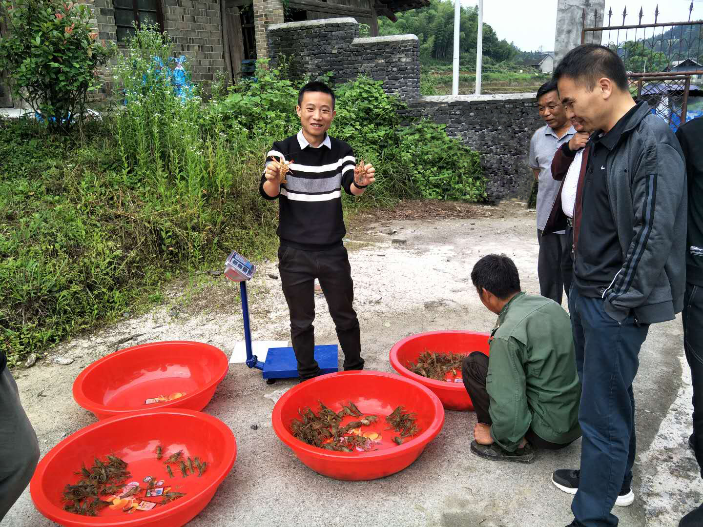 连山：锁定“小龙虾” 闯出致富路1.jpg