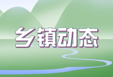 若水镇“四支队伍”全力做好防汛抗灾工作