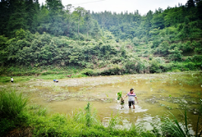 炮团：消灭抛荒复种忙