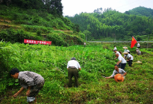 白市村：“珍惜土地　禁止抛荒”　七·一，我们在这里