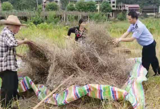 出警返程   热心民警又帮助7旬老人抢收油菜