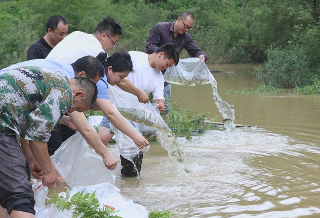 “守护一江碧水”司法行动：会同广坪镇投放2.3万尾鱼苗