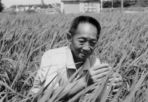 浏阳河丨学习袁隆平，让科学家精神光耀湖湘大地