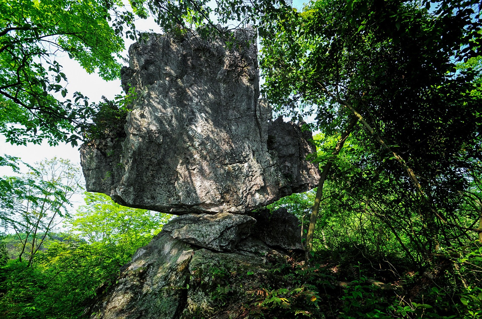 會同文旅亮出