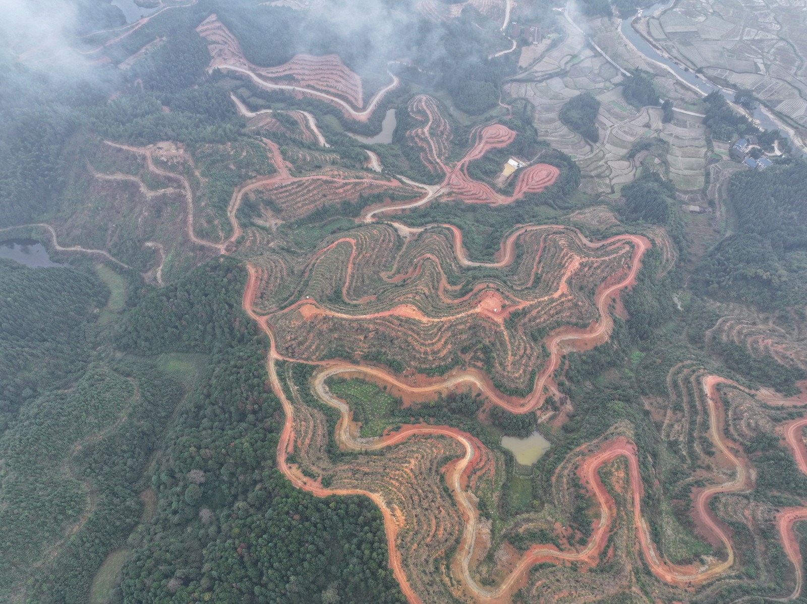 DJI_20261029103258_0021_D.JPG