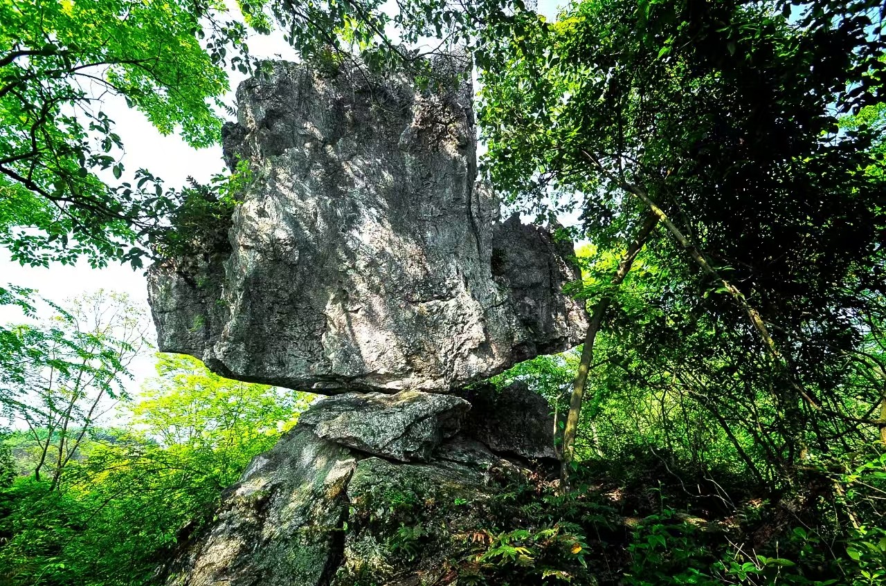 微信图片_20260724150828_267_3.jpg 微信图片_20260724150828_267_3.jpg