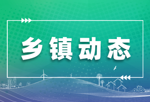 地灵乡全面加强安全生产隐患排查和安全常识宣传   