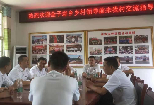 金子岩乡：学习先进做法，助力乡村振兴