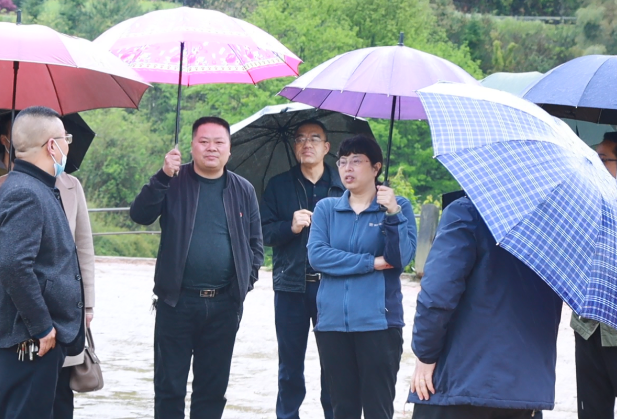 以旅兴业助推乡村振兴:兰利华携企在广坪镇西楼村调研座谈