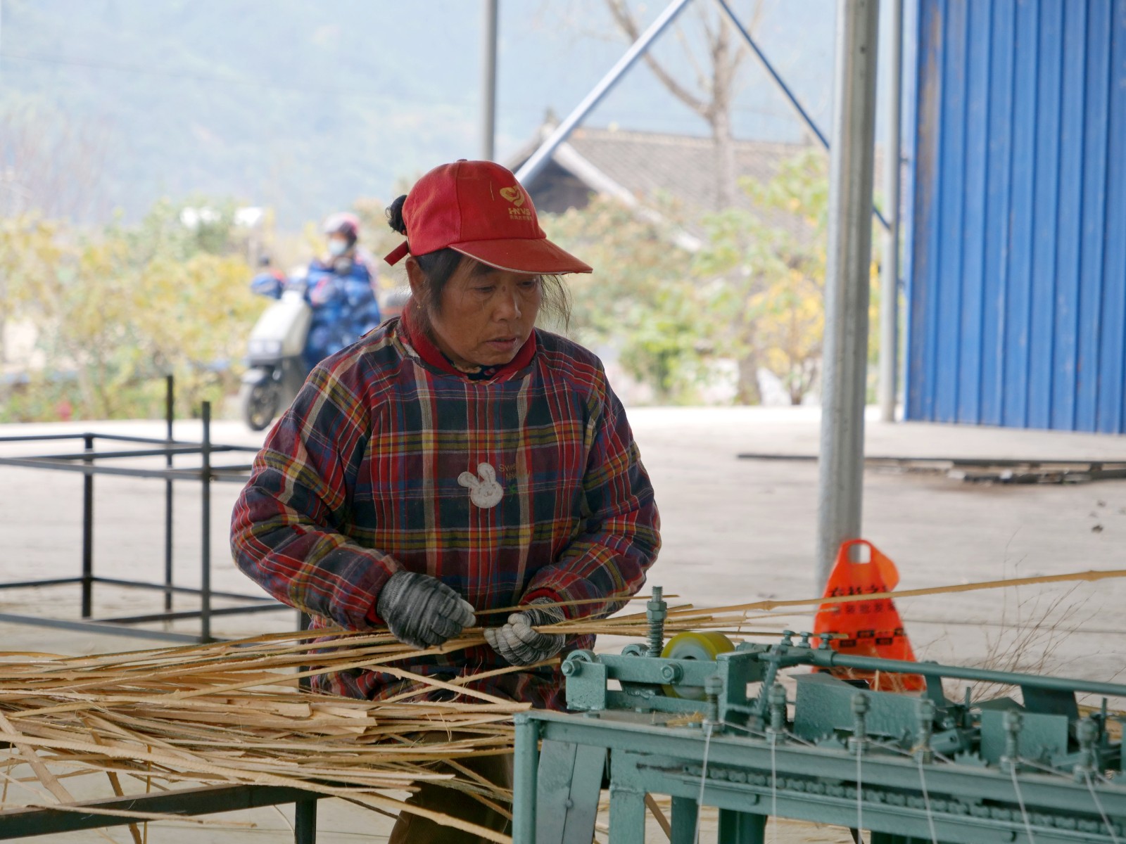 P2344176_副本.jpg