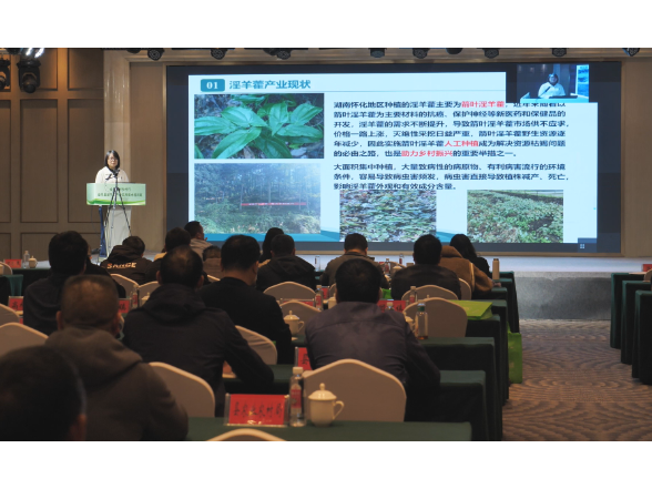 大力实施“1354”工程 | 会同县举办淫羊藿产业实用技术培训班