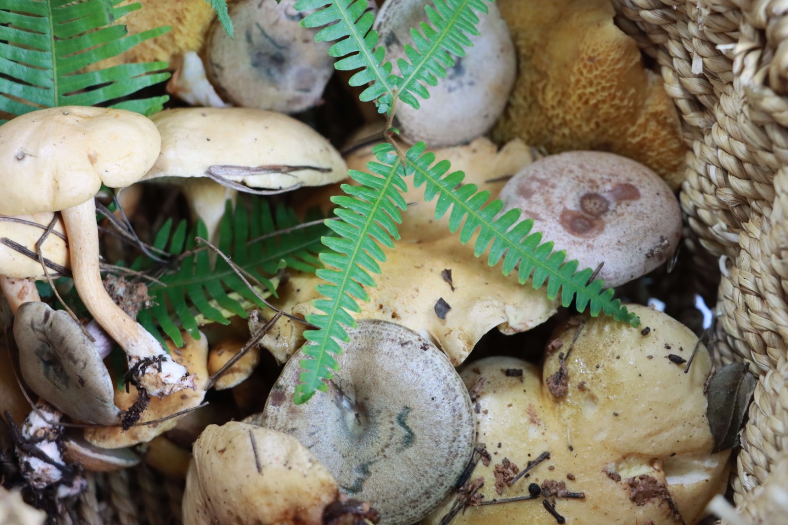 IMG_1928.jpg IMG_1928.jpg