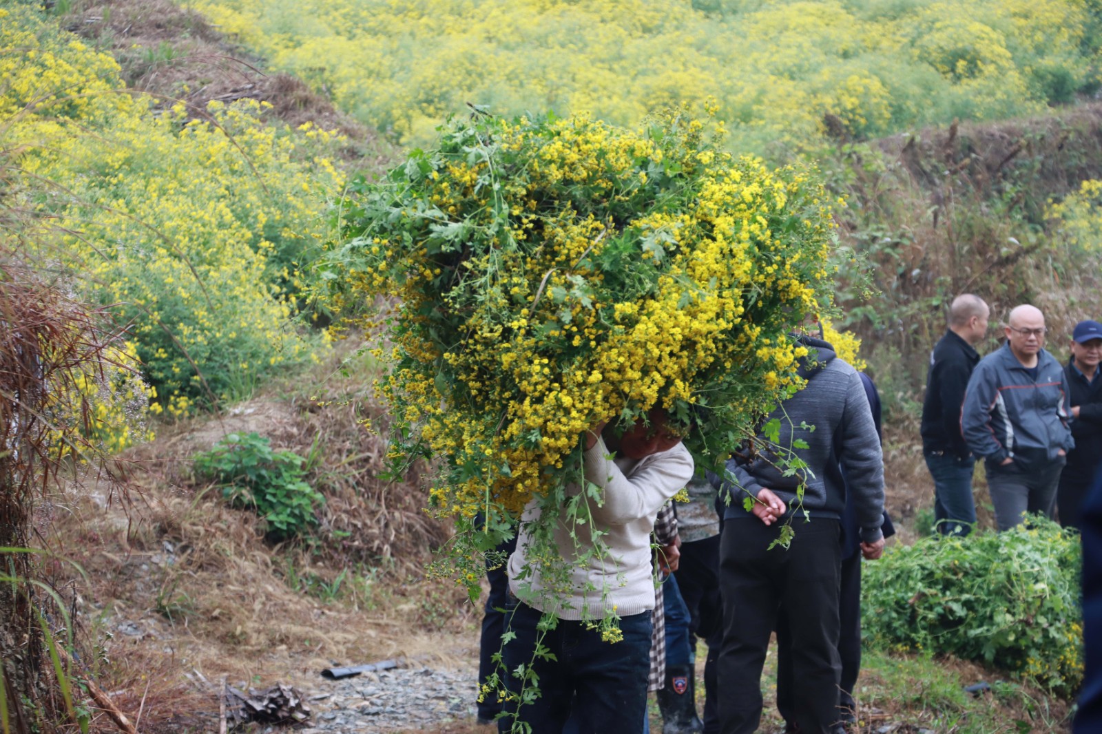 IMG_2069.jpg IMG_2069.jpg