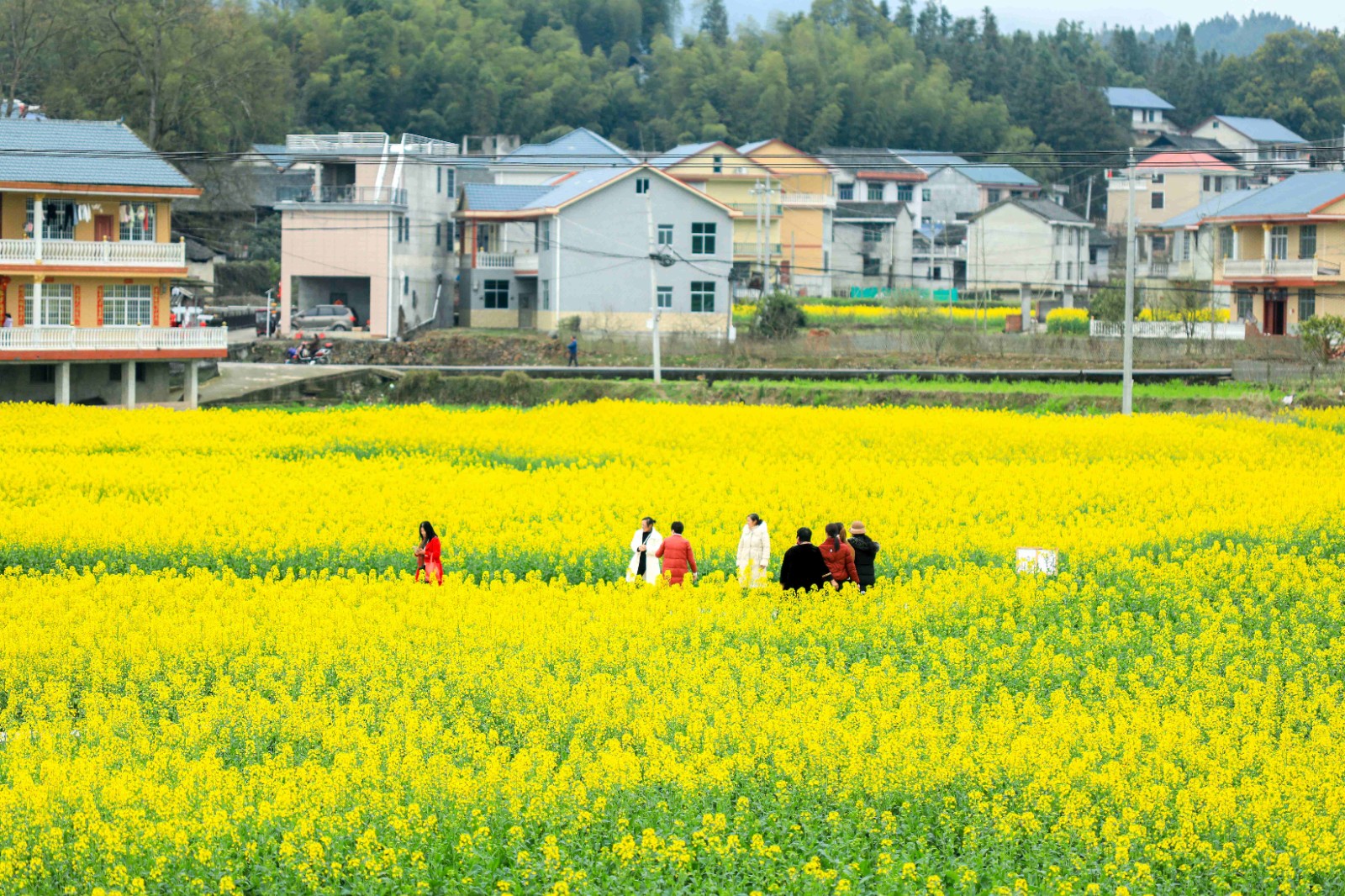 265A0130.jpg 265A0130.jpg