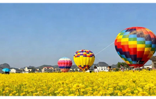 会同，这下在全国“出圈”了！